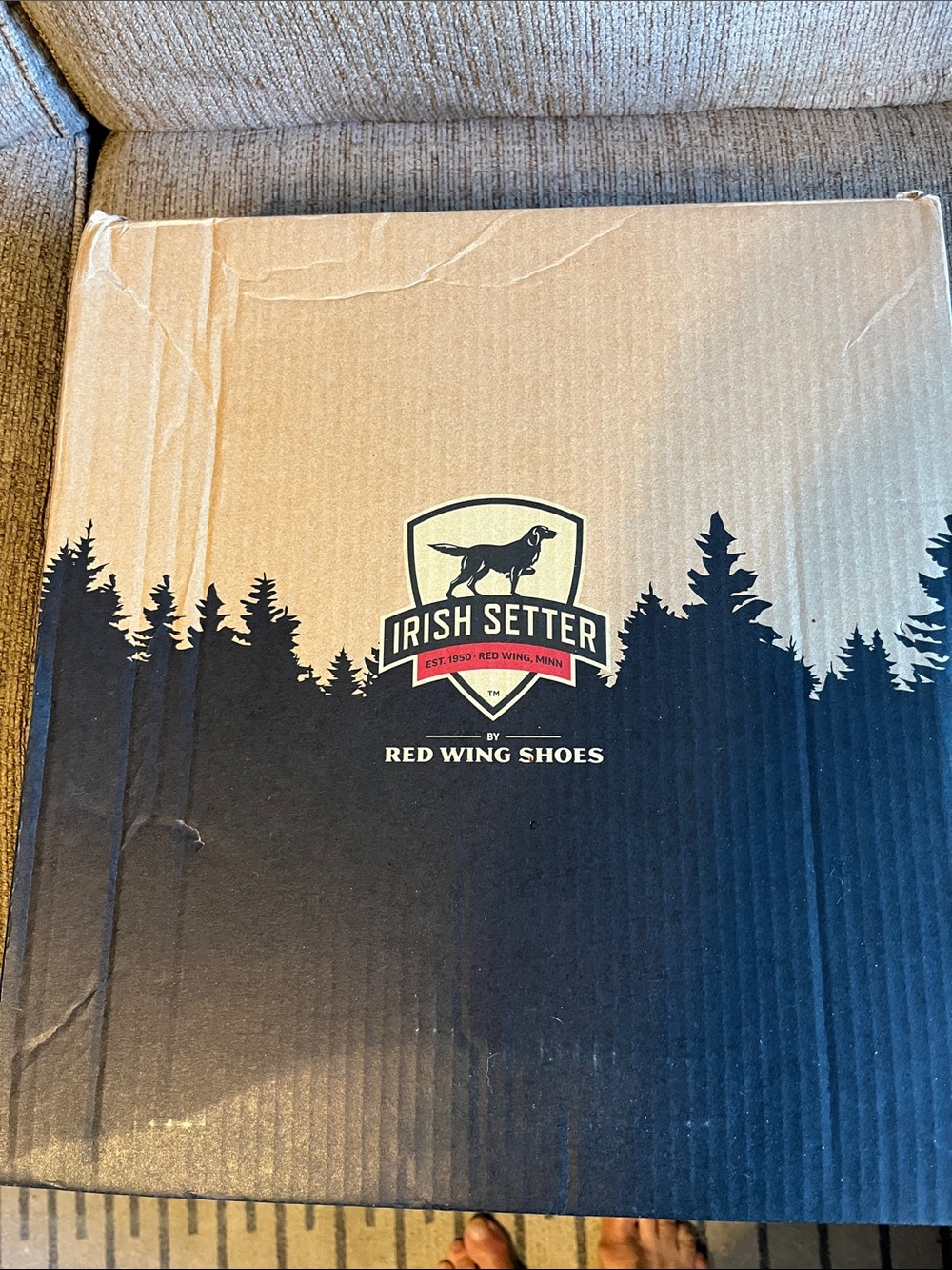 Irish Setter Brown and Black Shoe Box Graphic